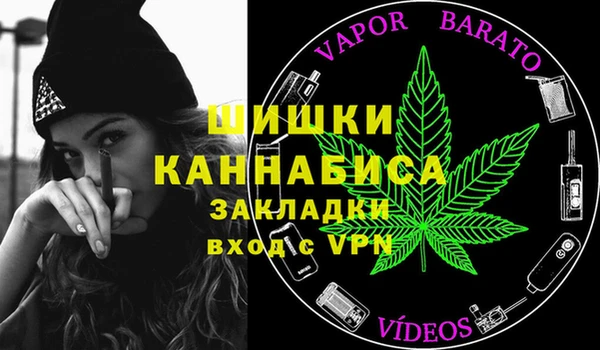 амф Арсеньев